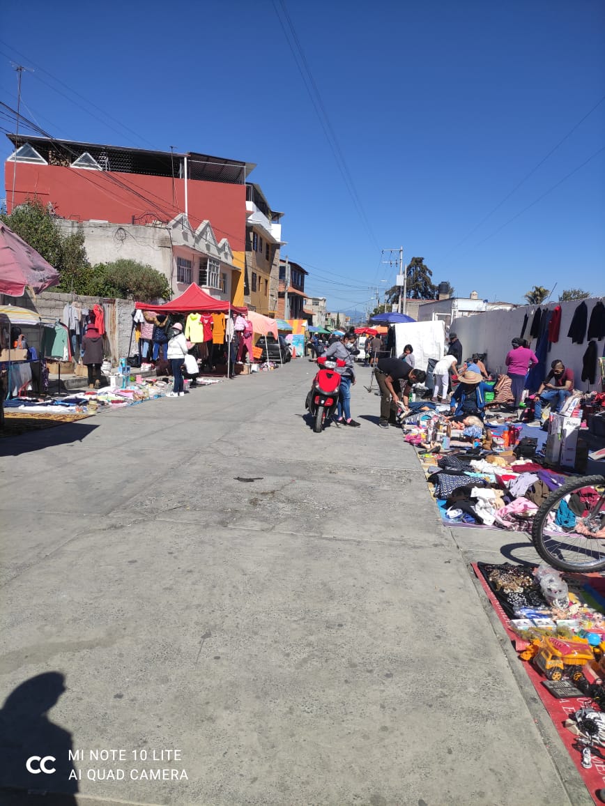 Mercado de segunda mano de El Seminario en Toluca operó de forma normal