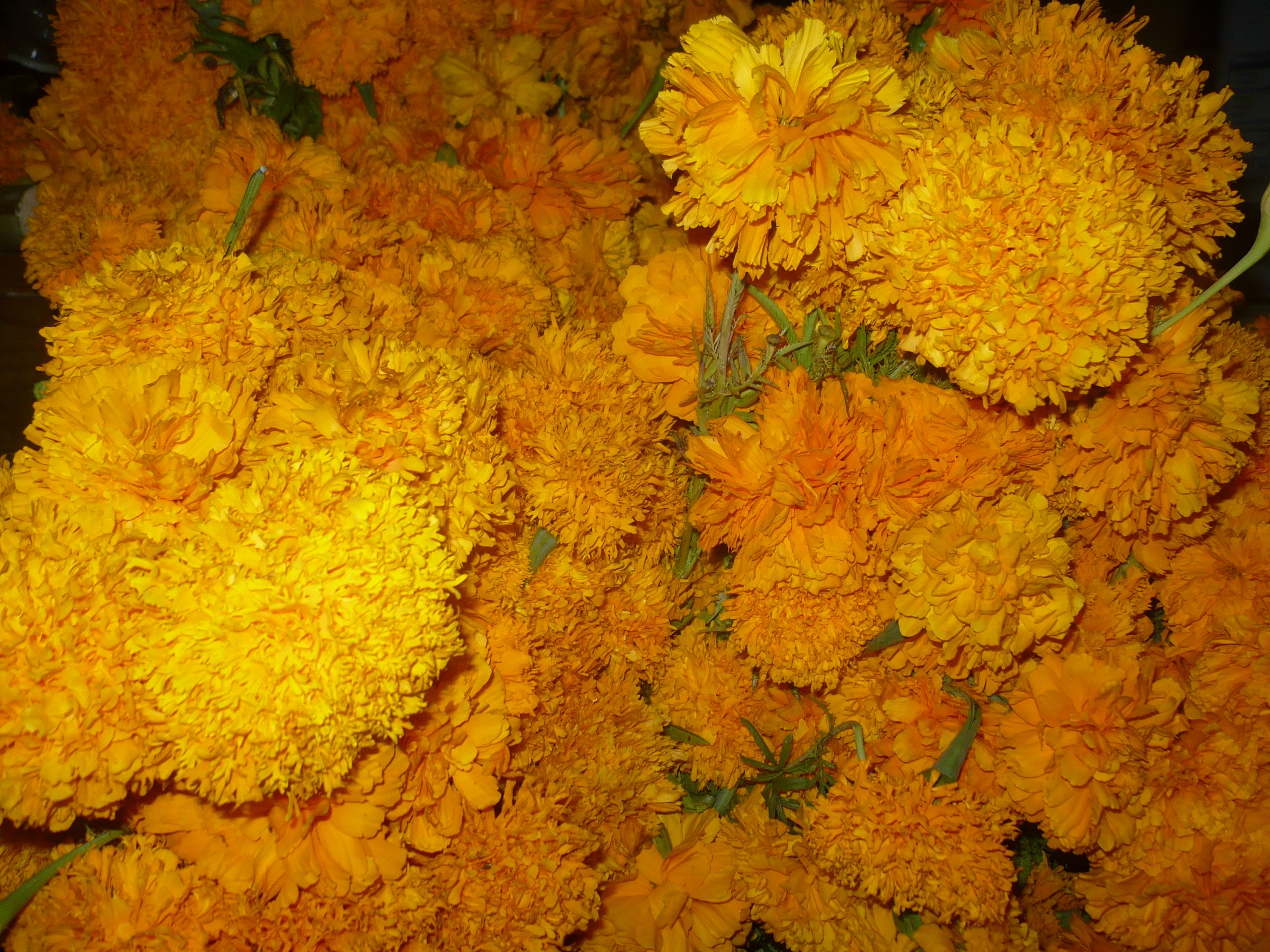 Ofrenda de Día de Muertos: Flores