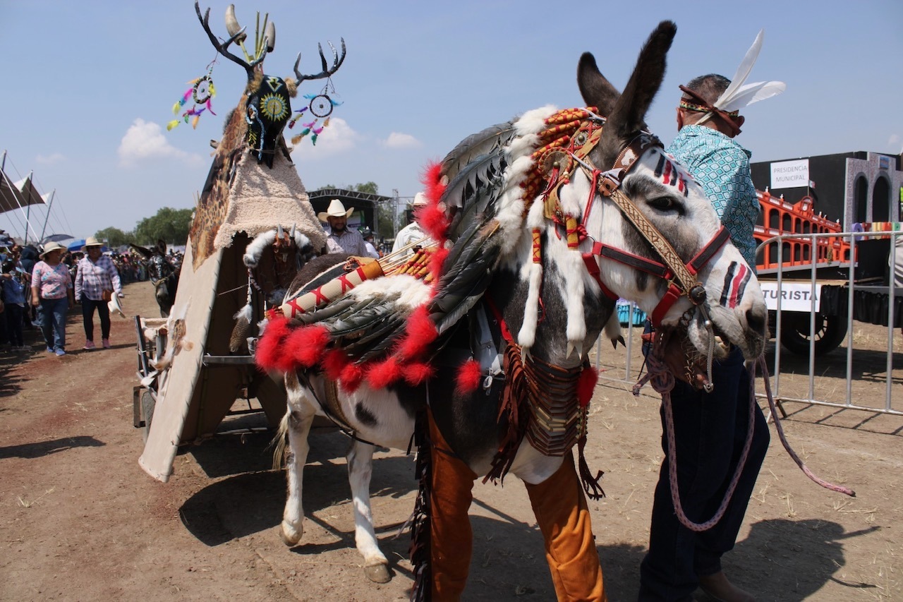 Invitan A La Feria Nacional Del Burro En El Pueblo Con Encanto De Otumba