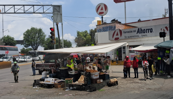 “Bolseadores” roban frente a policías en zona de la Terminal sin represalias