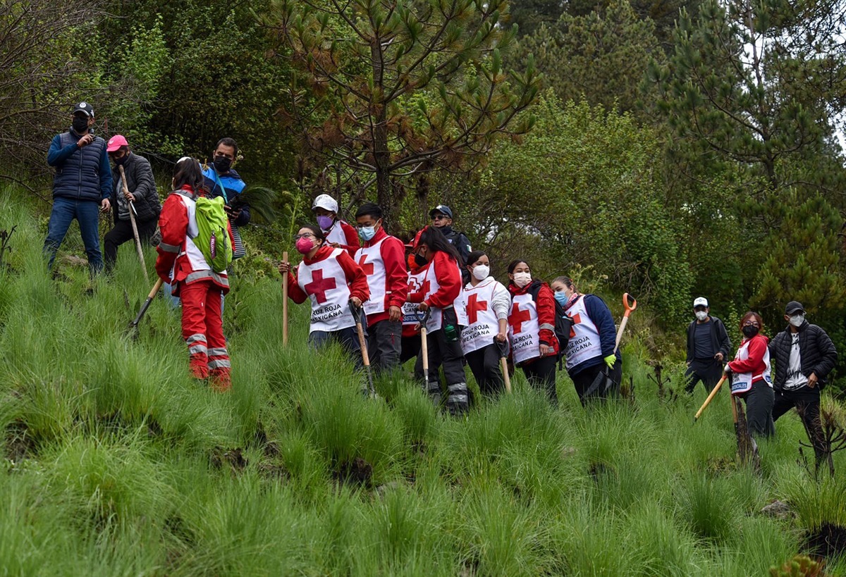 Se sumará Cruz Roja Mexicana a la Reforestación 2024