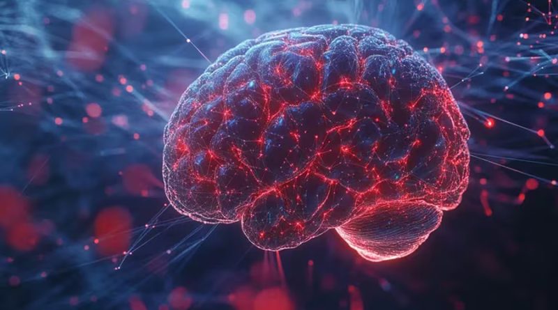 Los microplásticos afectan más al cerebro que al hígado, según nuevo estudio