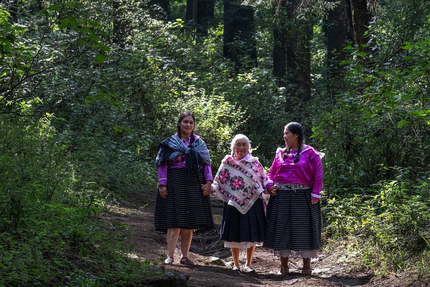 Más de 400 mil mexiquenses se identifican como indígenas: Consejo Estatal de Población