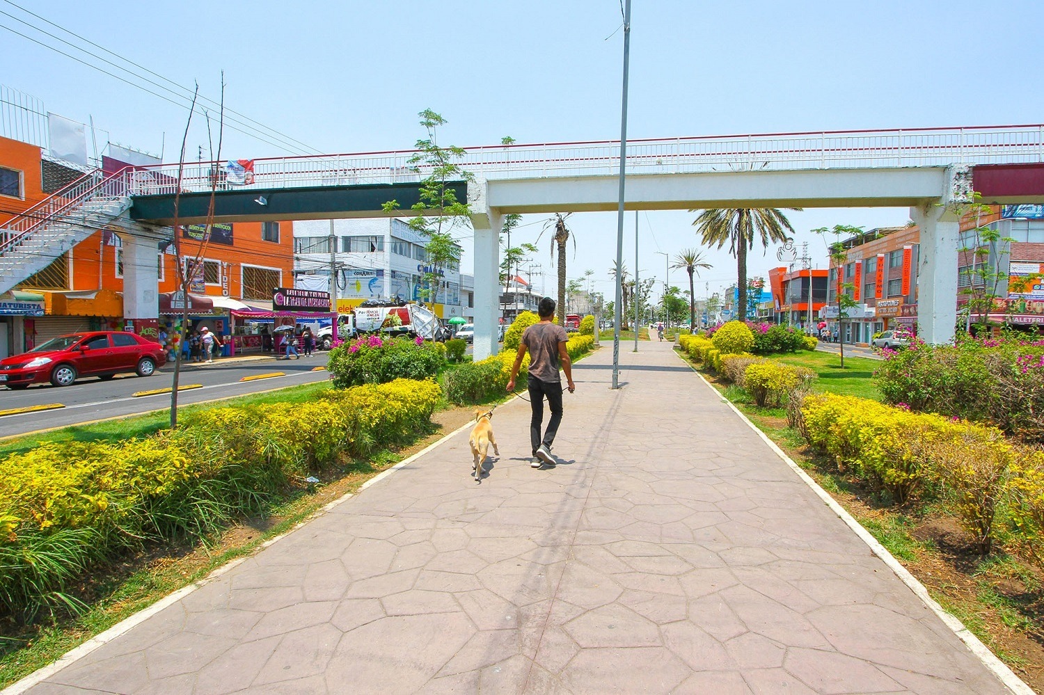 Amplían plazo para participar en el 7º Festival Universitario “Miradas de las Ciudades Mexiquenses”