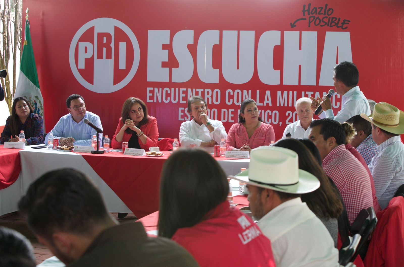 Construye PRI un proyecto de Nación con causas sociales: Ana Lilia Herrera