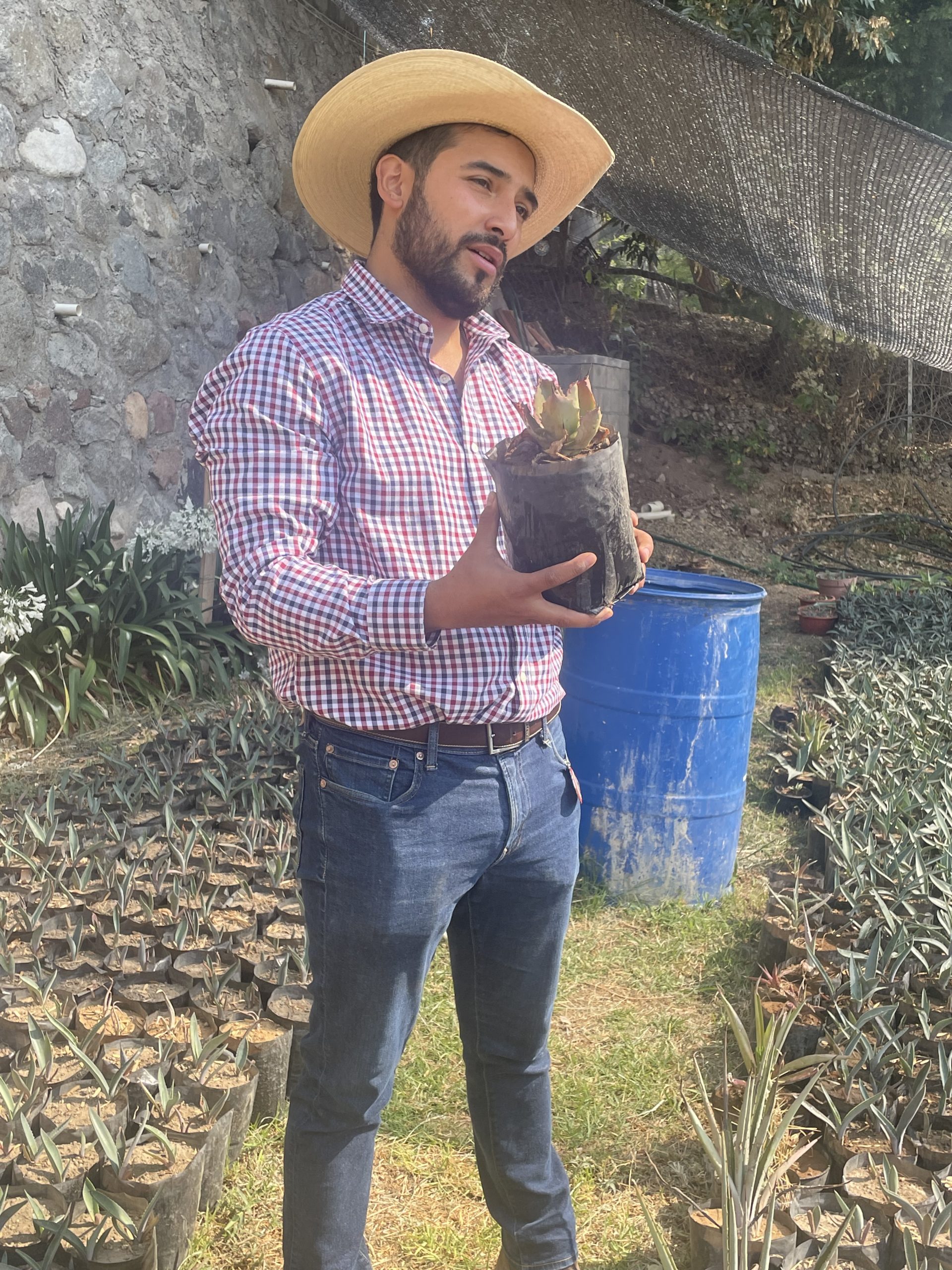 Aumenta venta de mezcal mexiquense por fiestas patrias